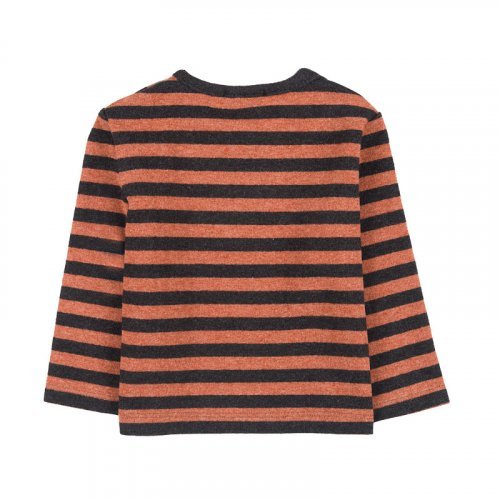 Brown striped T-Shirt_10649