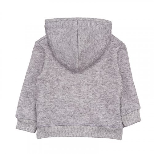 Gray Sweatshirt W/Hood_6298