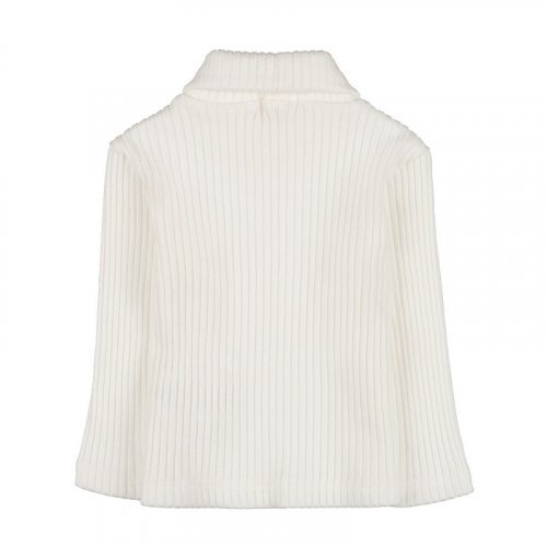 Ribbed turtleneck_10285