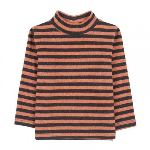 Striped turtleneck_10498