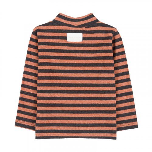 Striped turtleneck_10695