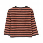 Brown striped T-Shirt_10649