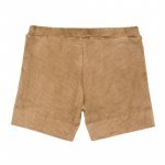 Brown Velvet Ribbed Shorts_1467