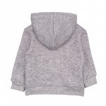 Gray Sweatshirt W/Hood_6298