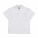 Half sleeve shirt_12093