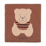 Herringbone blanket with brown teddy bear_10641