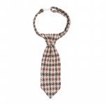 Necktie_9504