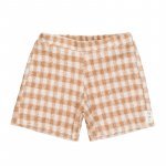 Braune karierte Shorts_1530