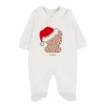 Teddy bear babygro_10381