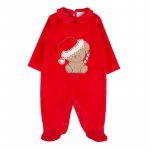 Teddy bear babygro_9668