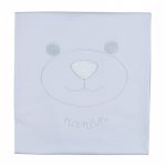 Teddy bear blanket_11414