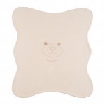 Teddy bear blanket_11297