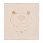 Teddy bear blanket_11298