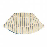 Yellow Striped Hat_5616